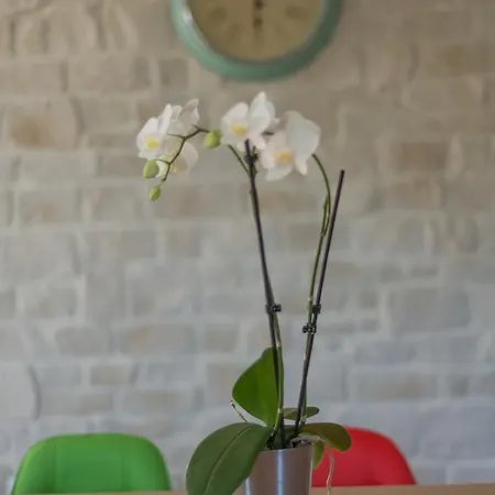 빌라 Villa Pitve - 2 *